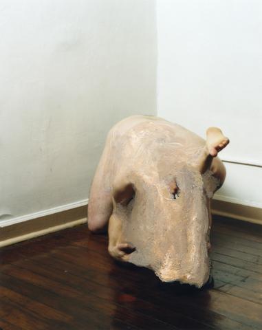 Rik Garrett Symbiosis
